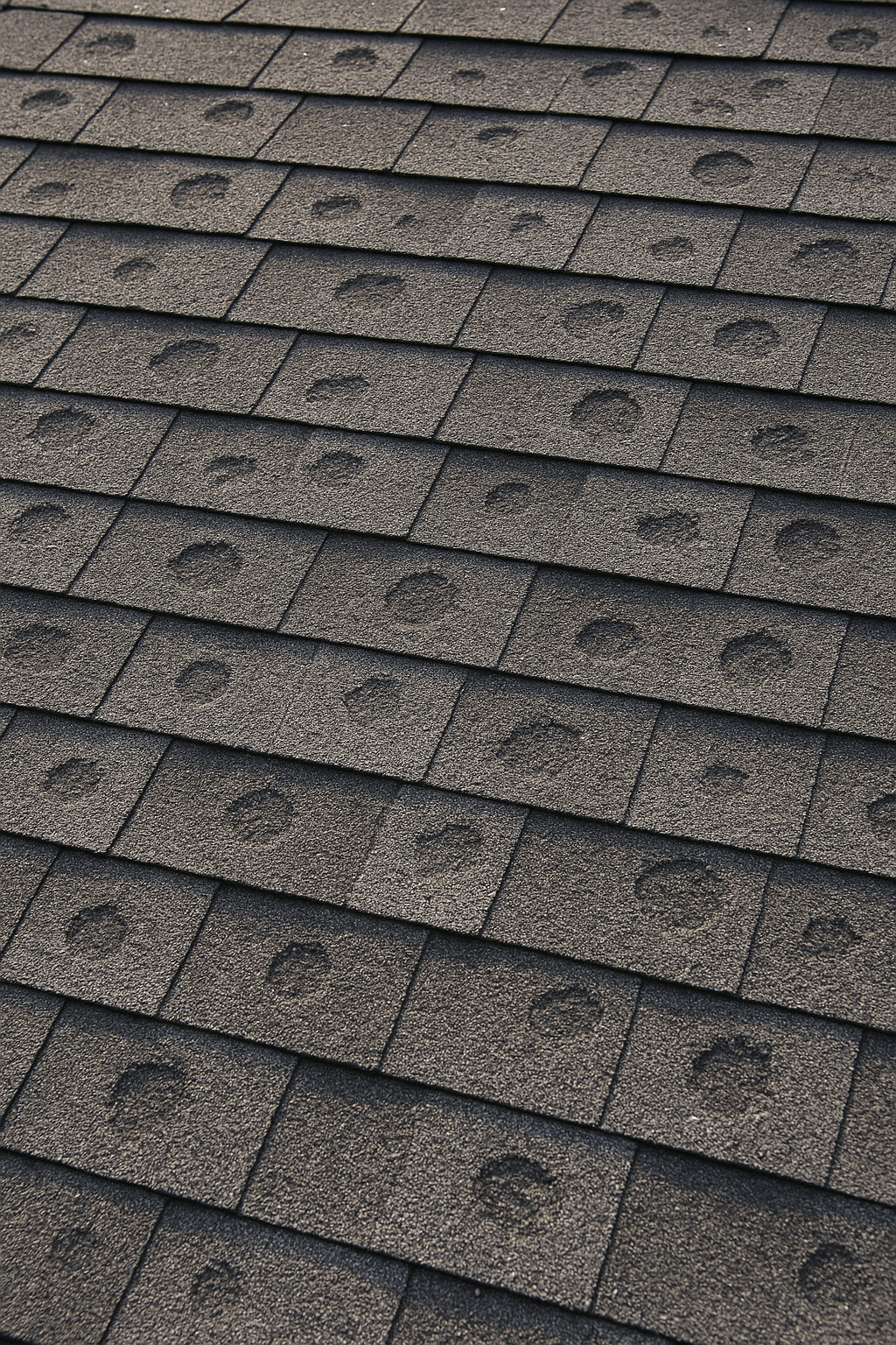 Hail Damage in Minnesota? Get a Free Roof Check